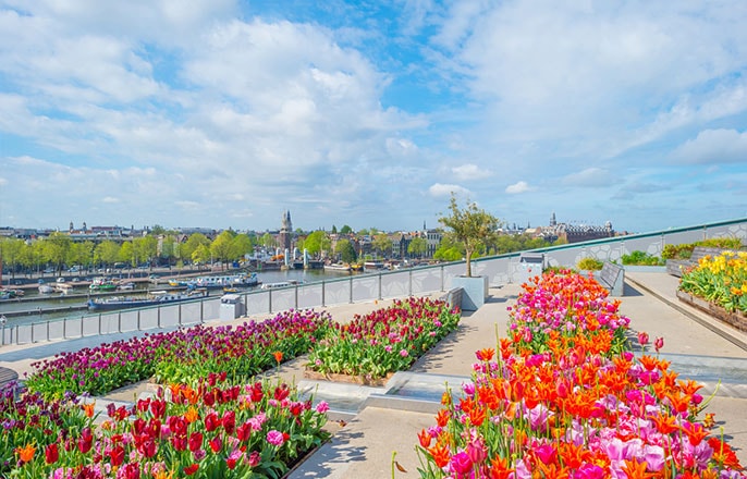 jardin-centre-amsterdam