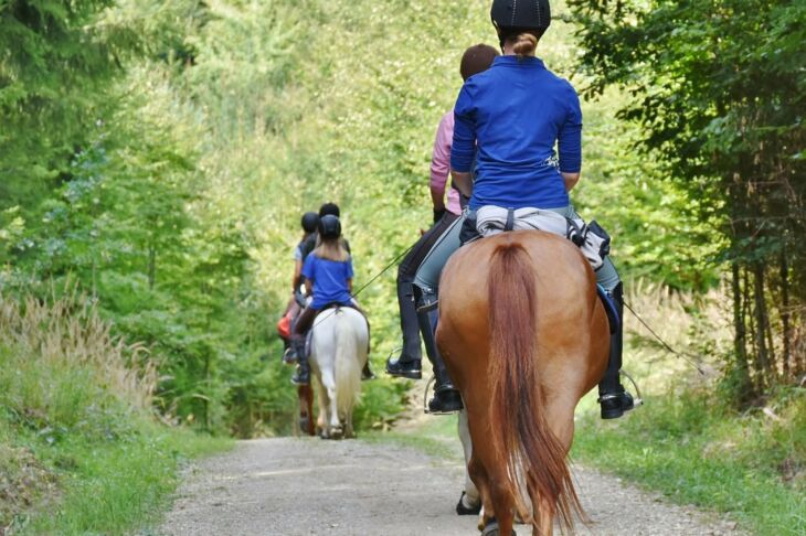 la-normandie-a-cheval