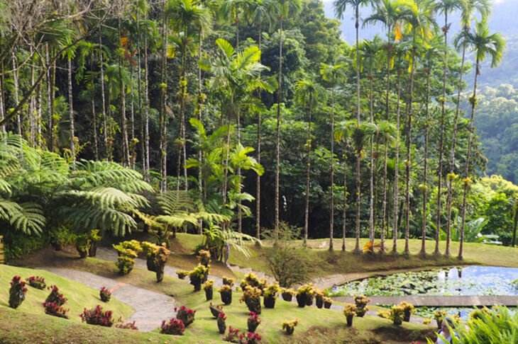 5-activites-a-faire-martinique