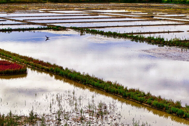guerande-prochaine-vacances-camping