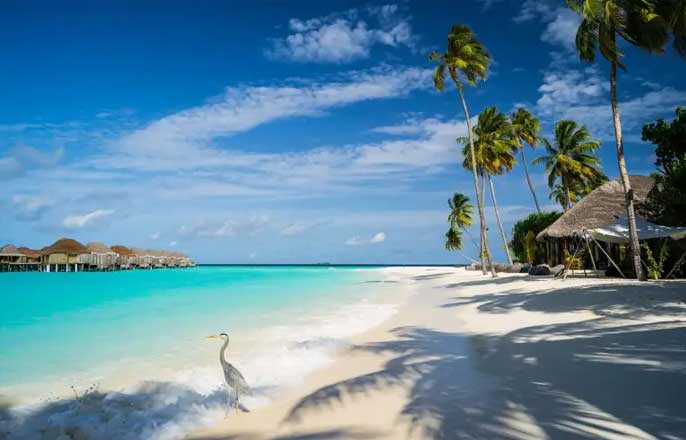 ile-paradisiaque-maldives