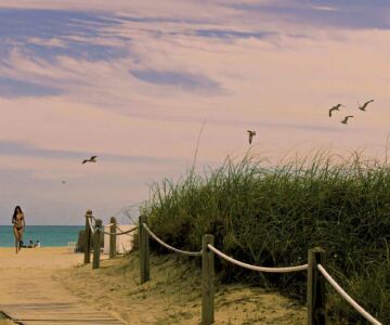 les-plus-belles-plages-miami