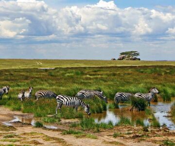 10-sites-a-visiter-absolument-en-tanzanie