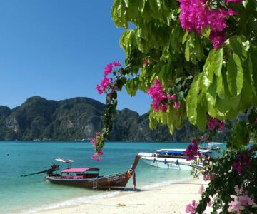 comment-visiter-ile-phi-phi-thailande
