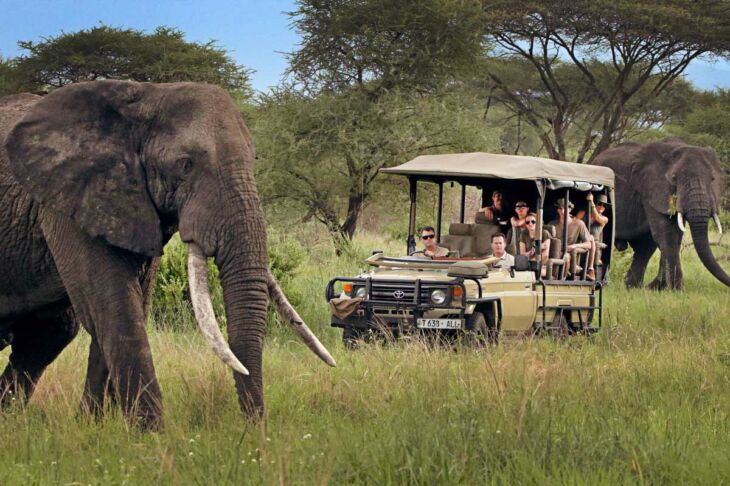 safari-tanzanie-voyage-inoubliable-famille