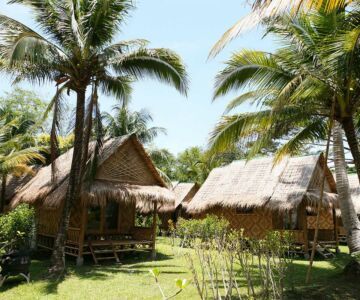 tout-savoir-bungalow-et-cabane