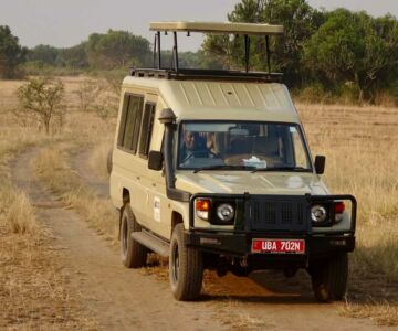 guide-bien-preparer-safari-ouganda