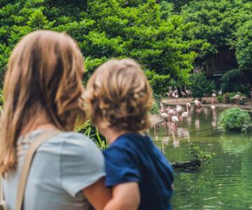 kenya-en-famille-voyage-inoubliable