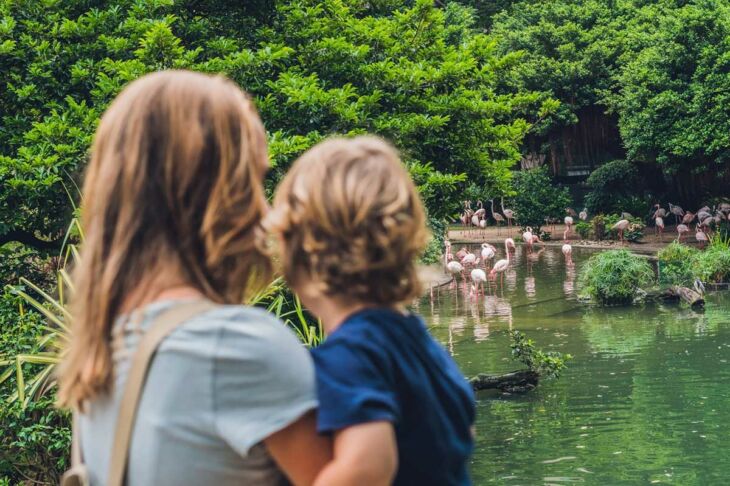 kenya-en-famille-voyage-inoubliable