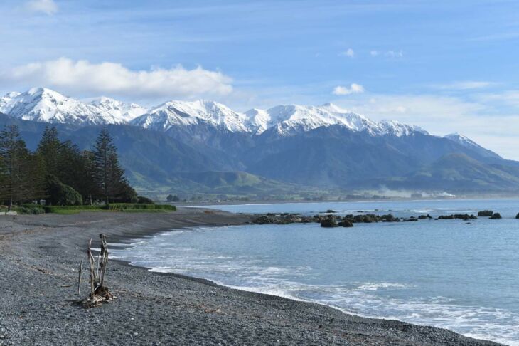 que-faire-a-kaikoura-nouvelle-zelande