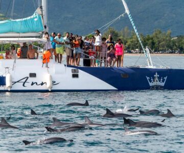 ile-maurice-nager-avec-les-dauphins
