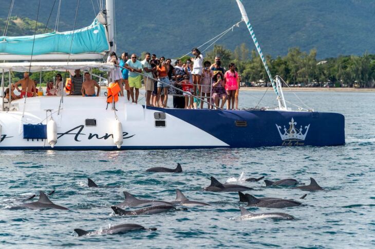 ile-maurice-nager-avec-les-dauphins